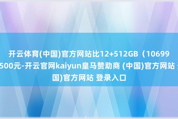开云体育(中国)官方网站比12+512GB（10699元）贵2500元-开云官网kaiyun皇马赞助商 (中国)官方网站 登录入口