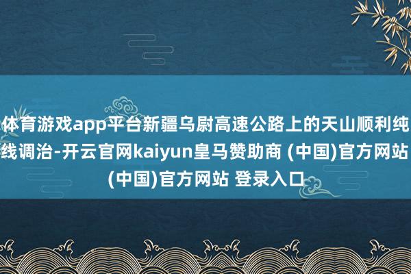 体育游戏app平台新疆乌尉高速公路上的天山顺利纯正终于全线调治-开云官网kaiyun皇马赞助商 (中国)官方网站 登录入口