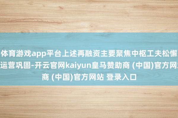 体育游戏app平台上述再融资主要聚焦中枢工夫松懈、保险企业运营巩固-开云官网kaiyun皇马赞助商 (中国)官方网站 登录入口